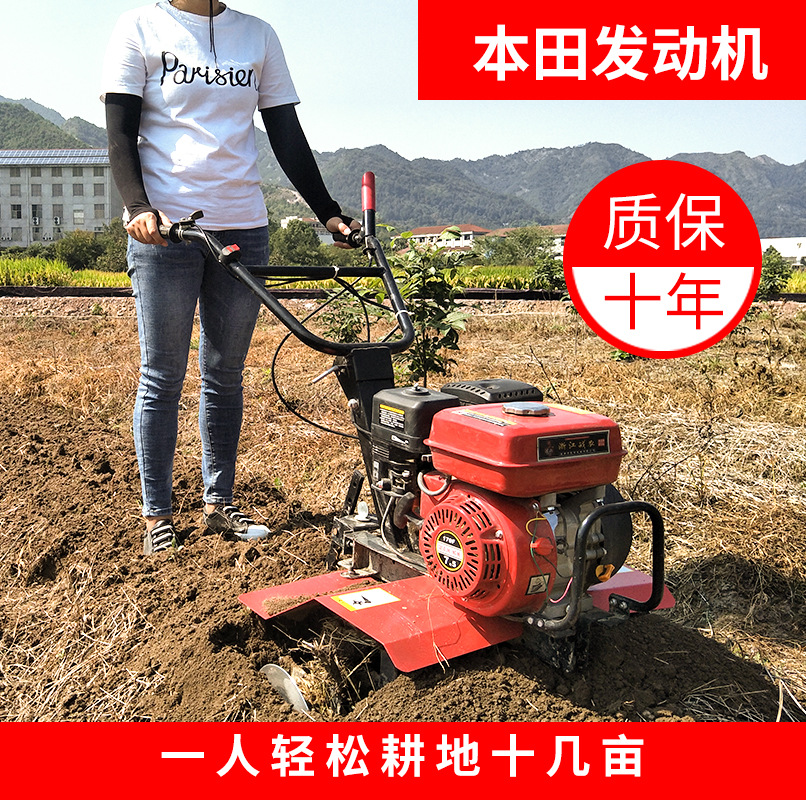 畫板 1 拷貝 7