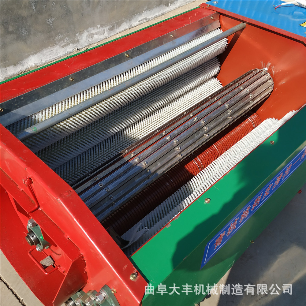 青核桃去皮機 大型農(nóng)用核桃脫皮機 (10).jpg