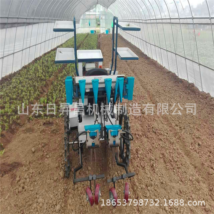 mmexport1491705309148.jpg