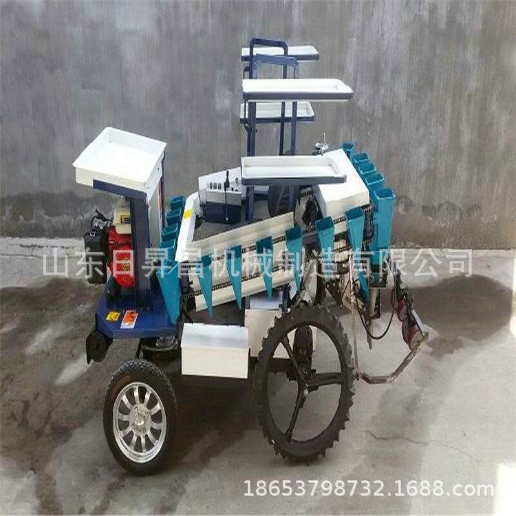 mmexport1491790405378.jpg