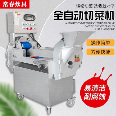 廠家銷售多功能雙頭切菜機(jī)商用切菜機(jī)大頭球莖果蔬數(shù)控切菜機(jī)
