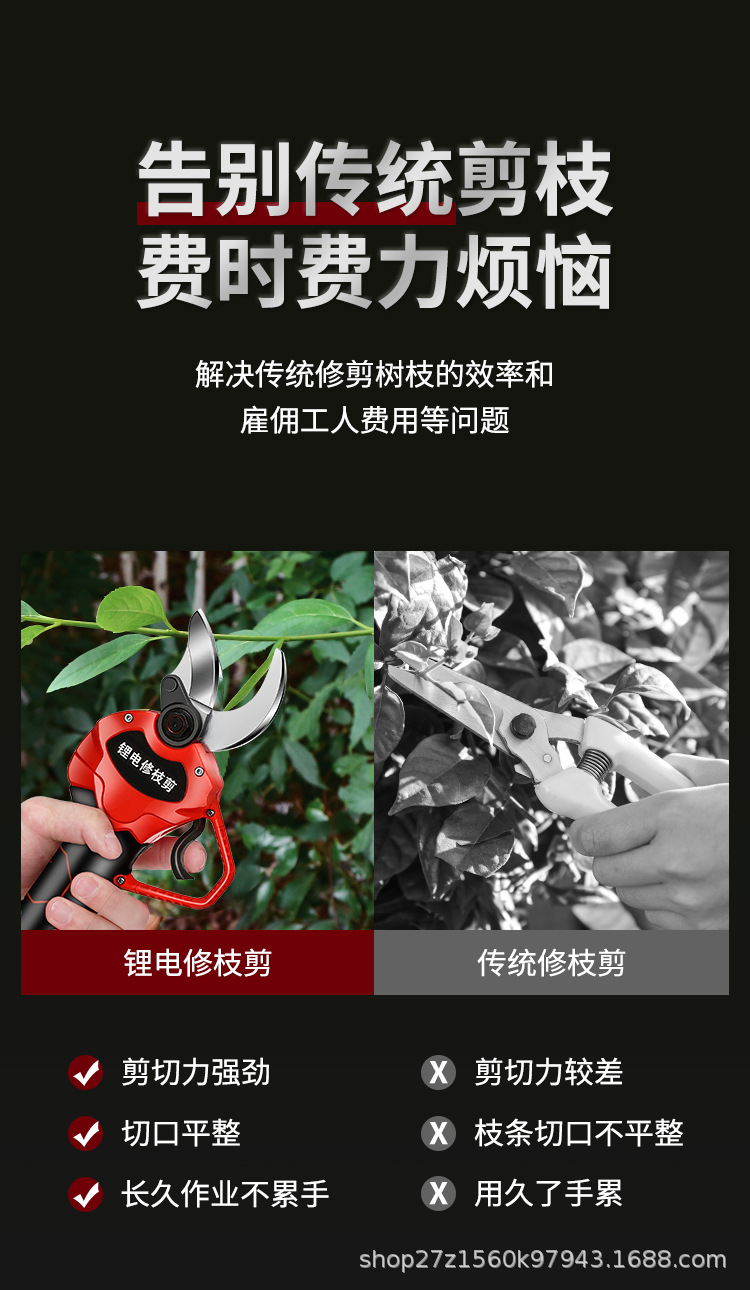詳情_02.jpg