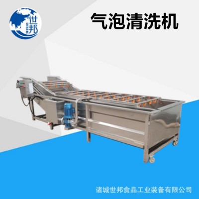 蔬菜清洗機(jī)葉類(lèi)菜全自動(dòng)氣泡流水像草莓生姜清洗設(shè)備