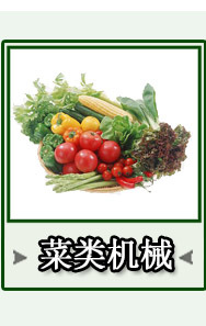 銷售工業(yè) 凍肉制品剁塊機雞鴨帶骨連續(xù)切丁機切豆皮設(shè)備 工廠