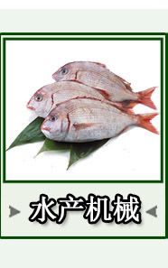 笙輝批發(fā) 汽泡清洗機(jī)洗果機(jī)大棗果蔬清洗機(jī) 供貨商
