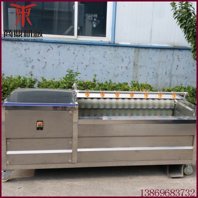 廠家供應(yīng)紅薯清洗機(jī) 不銹鋼毛刷去皮清洗機(jī) 根莖類蔬菜毛輥清洗機(jī)
