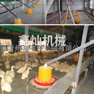 養(yǎng)鴨料線 肉鴨自動(dòng)喂養(yǎng)設(shè)備自動(dòng)料線 養(yǎng)殖料線