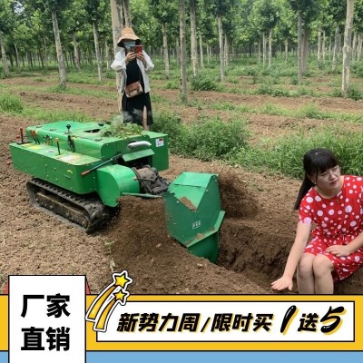 300L容量小型果園噴霧機(jī) 風(fēng)送式果樹(shù)打藥機(jī) 自走式消毒噴藥機(jī)