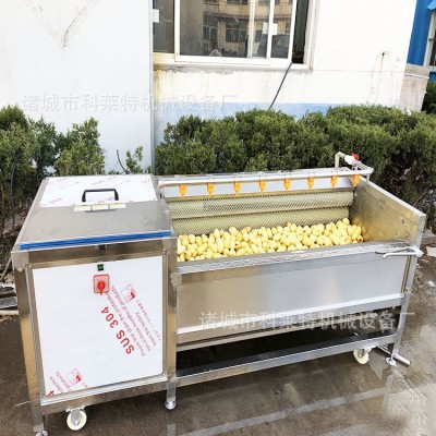 自動清洗去泥機(jī) 毛輥去皮機(jī) 毛刷清洗機(jī) 根莖類清洗加工設(shè)備型號