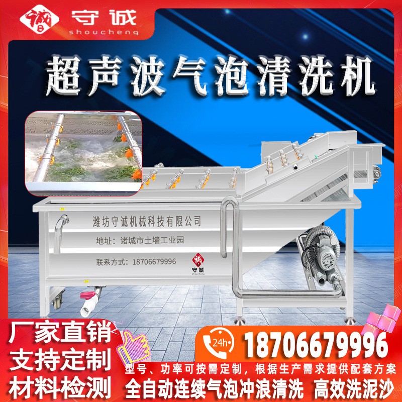 全自動蔬菜清洗機(jī) 不銹鋼黃瓜榨菜加工生產(chǎn)線設(shè)備 辣椒氣泡清洗機(jī)