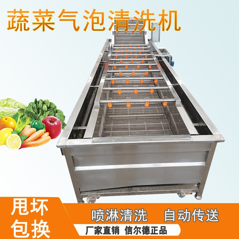 蔓越莓氣泡果蔬清洗機(jī) 全自動山野菜蔬菜加工設(shè)備 醬菜脫鹽清洗機(jī)
