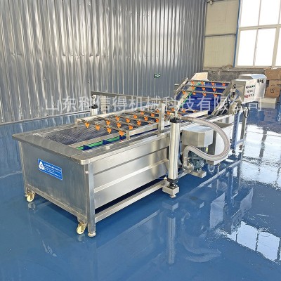 科信得專業(yè)生產 凈菜加工清洗線 氣泡渦流 蘑菇香菇氣泡清洗機