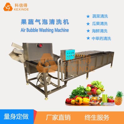科信得專業(yè)生產 果蔬噴淋式氣泡清洗設備 全自動蔬菜清洗機