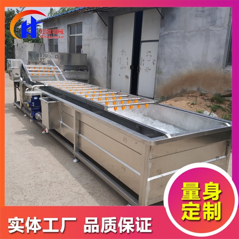 供應(yīng)鼓泡式清洗設(shè)備 蒜米漂皮清洗機 全自動桃子噴淋式清洗機