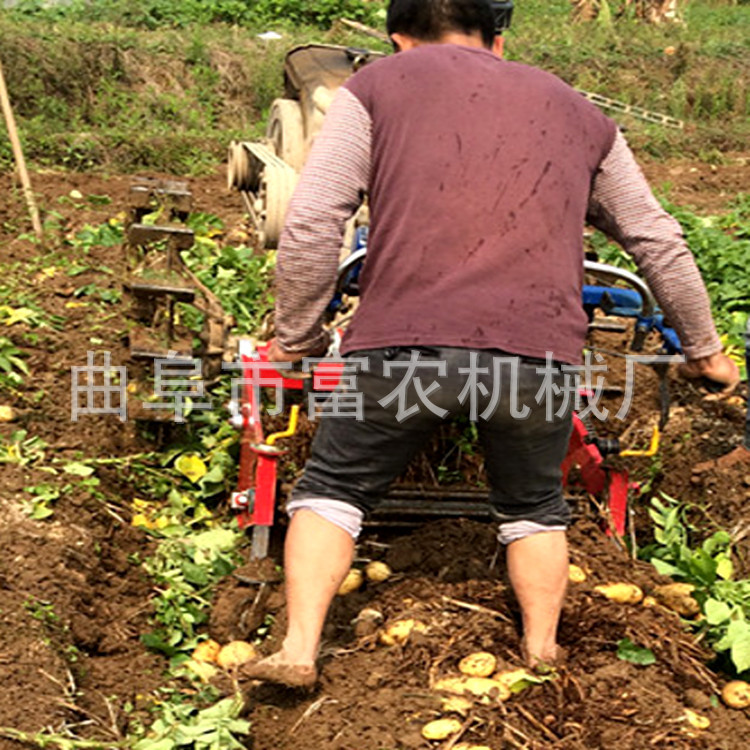土豆收獲機