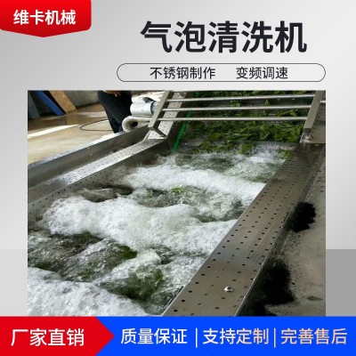 定制波浪式氣泡清洗機(jī) 快速蘋(píng)果清洗設(shè)備 廠家變頻氣泡清洗機(jī)