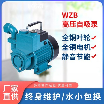 水泵家用自來水自吸增壓泵全自動靜音加壓泵220v高揚程水井抽水泵