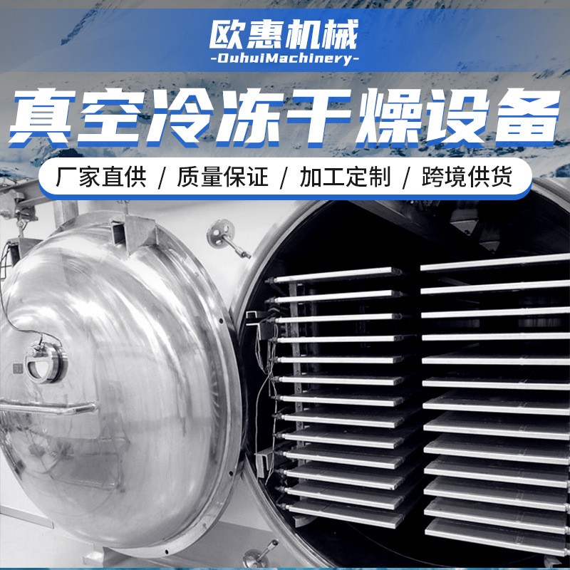定制蔬菜水果肉類(lèi)冷凍干燥設(shè)備 自動(dòng)化真空凍干機(jī)器凍干機(jī)冷干機(jī)