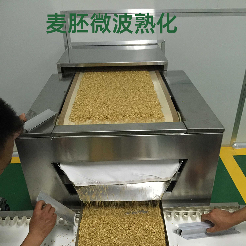 麥胚
