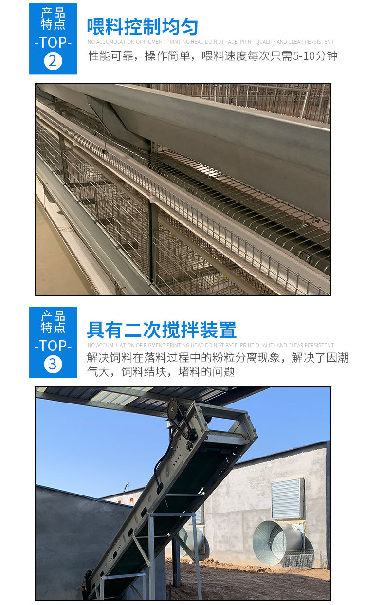蛋雞籠_04.jpg