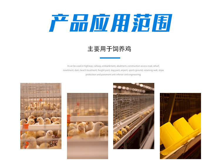 蛋雞籠_06.jpg