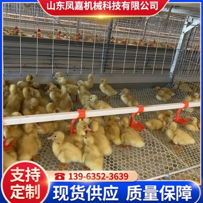 現貨供應籠養(yǎng)設備 農業(yè)養(yǎng)殖機械肉鴨籠 鴨子籠養(yǎng)殖場用的肉鴨籠