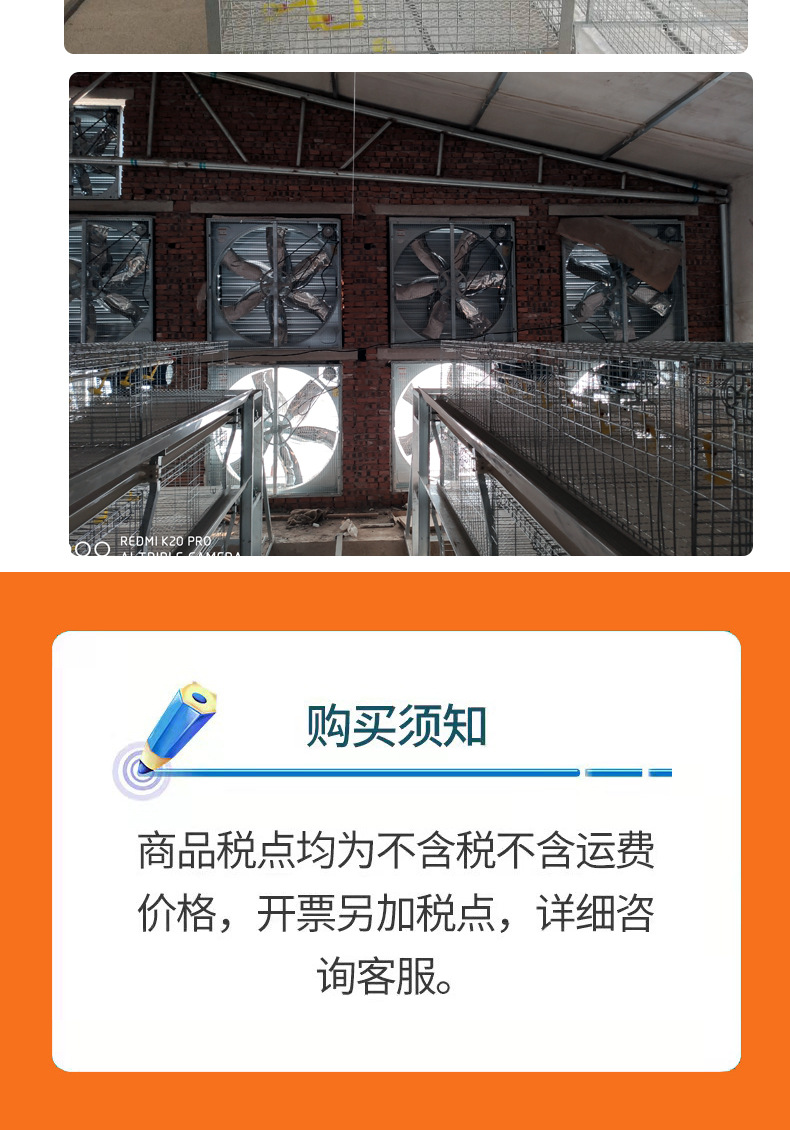 肉雞籠_10