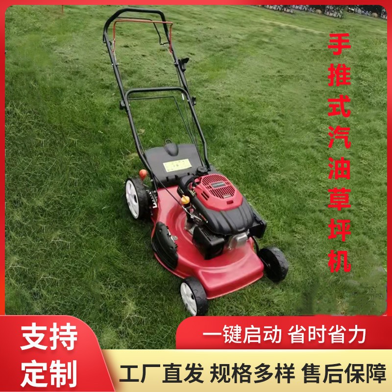 現(xiàn)貨汽油草坪機 自走手推式公園草地除草機 物業(yè)小區(qū)用手推割草機