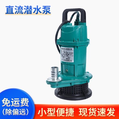 批發(fā)家用220V不銹鋼小型抽水機農(nóng)用園林灌溉潛水泵戶外直流離心泵