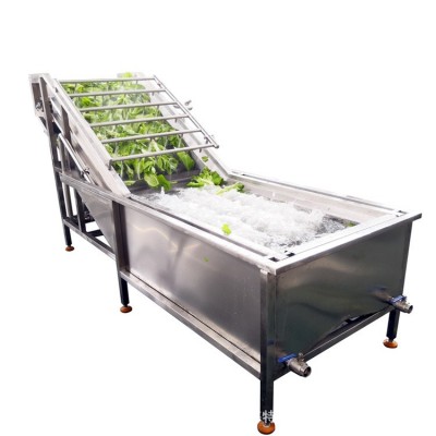 工廠用藍莓氣泡清洗機 樹莓清洗機 果蔬氣泡清洗機處理設備