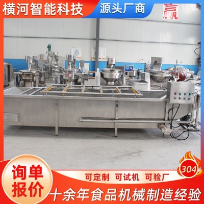 商用蔬菜水果清洗線 全自動大型食堂洗菜機 供應(yīng)果蔬氣泡式清洗機