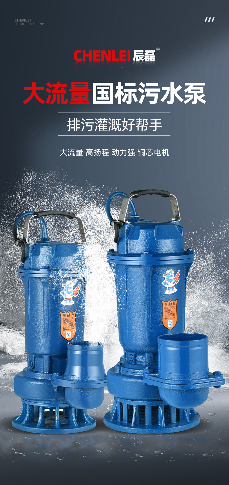 大流量污水泵_01.jpg