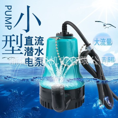 直流水泵家用抽水機(jī)農(nóng)用澆地小型潛水泵船用艙底泵自配電瓶使用