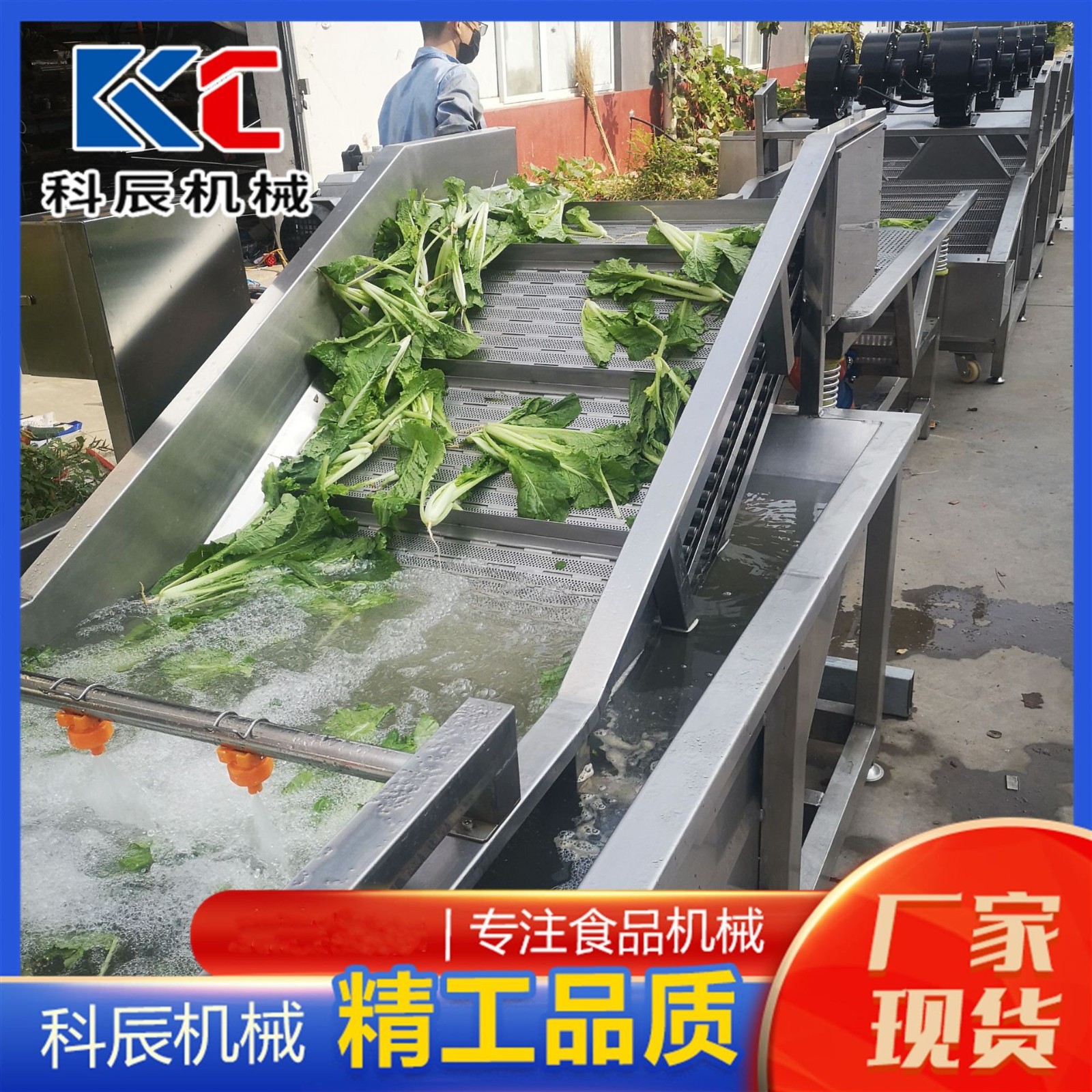 果蔬翻浪式氣泡清洗機(jī) 中藥材氣泡清洗機(jī) 蘋(píng)果鴨梨氣泡清洗機(jī)