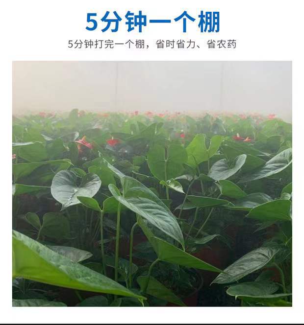 微信圖片_20211215095149.jpg