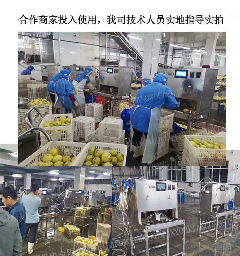 橙子皮