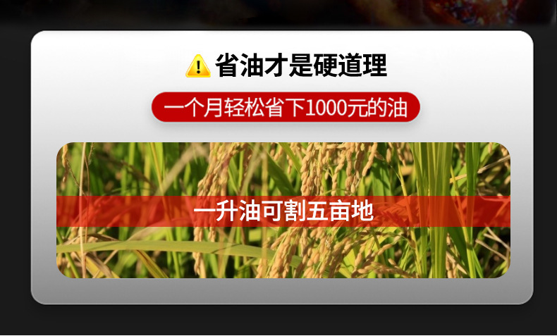 詳情圖片_15.jpg