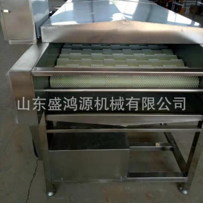 紅薯土豆去皮清洗機(jī) 全自動(dòng)毛刷輥洗姜機(jī) 多功能根莖類(lèi)藥材清洗機(jī)