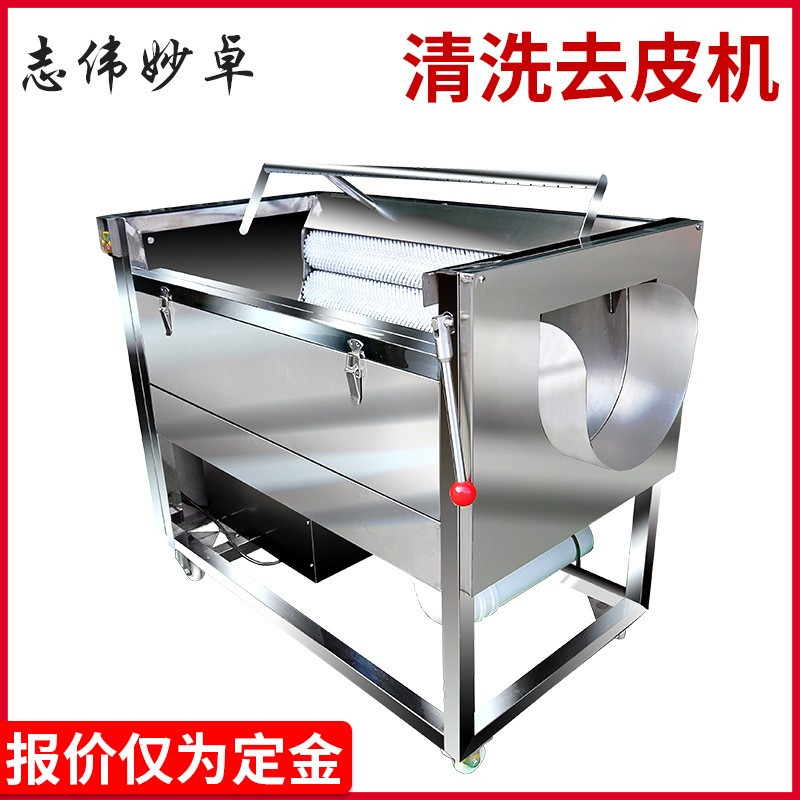 志偉ZW-909中型土豆去皮機(jī) 馬鈴薯清洗機(jī)，芋頭蘿卜毛刷清洗機(jī)