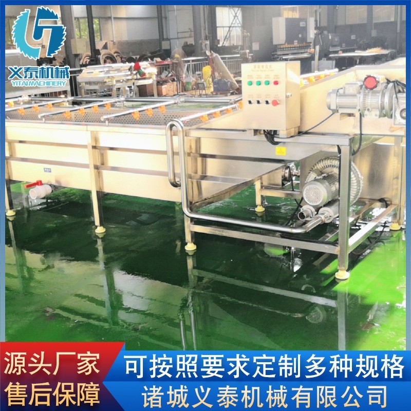 玉米段氣泡清洗機設(shè)備 全自動豌豆粒清洗線 果蔬噴淋式清洗設(shè)備