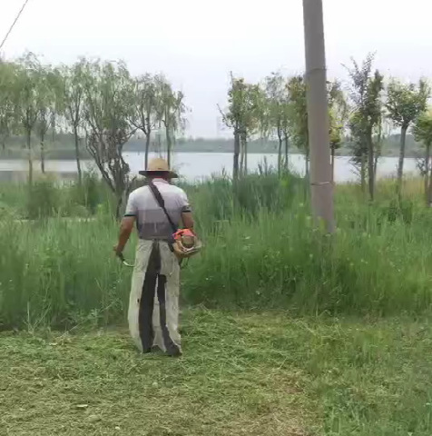 打草.png