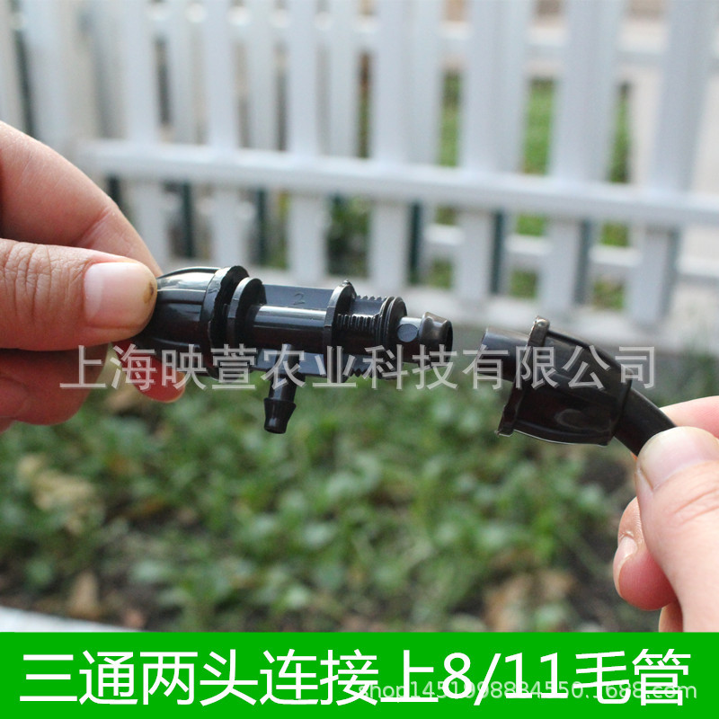 第3.jpg