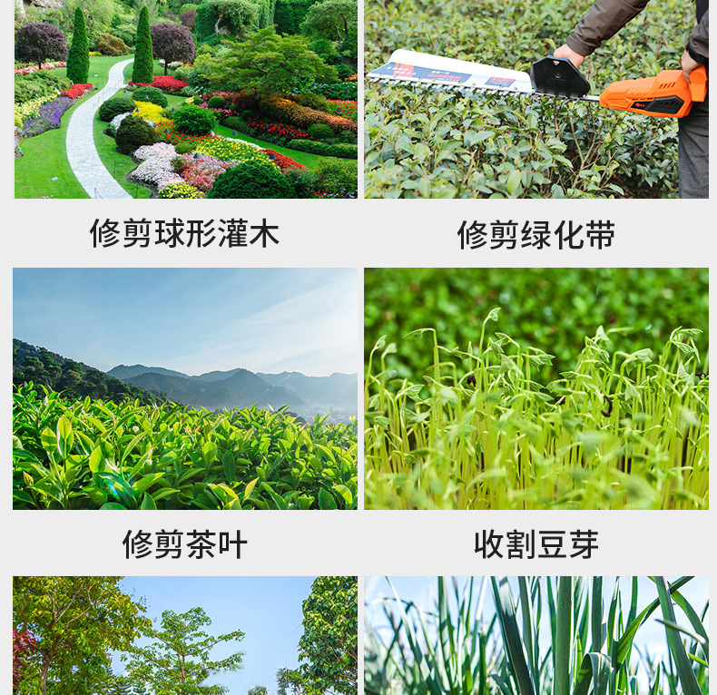 綠籬機改_04.jpg