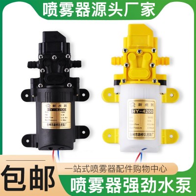 電動(dòng)噴霧器水泵隔膜泵工廠現(xiàn)貨批發(fā)12v純銅高壓電動(dòng)泵噴霧器配件