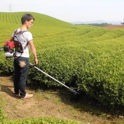 背負(fù)式家用電動(dòng)割草機(jī)大棚蔬菜果園打草機(jī)大功率開荒收割神器成浩