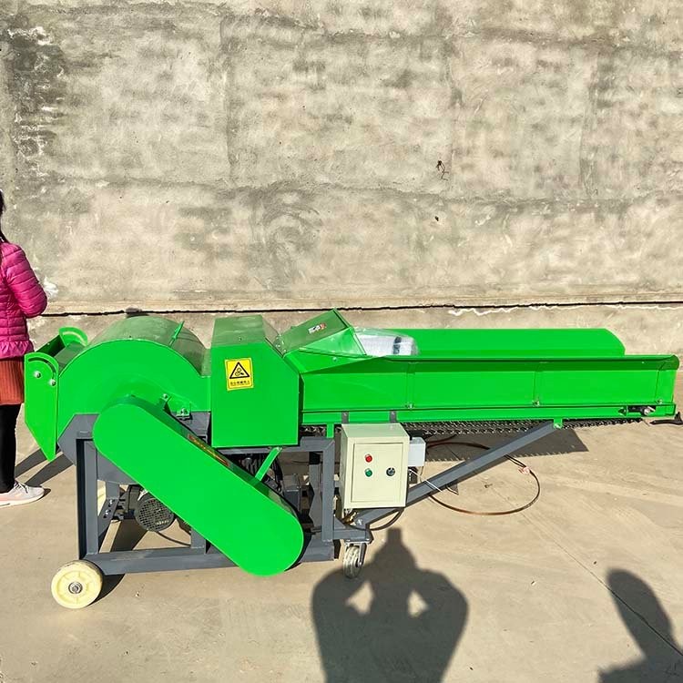 揉絲機_隆康_鍘草機_玉米秸稈揉草機 養(yǎng)殖機械