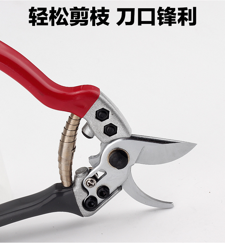 園林剪刀本色_04.jpg