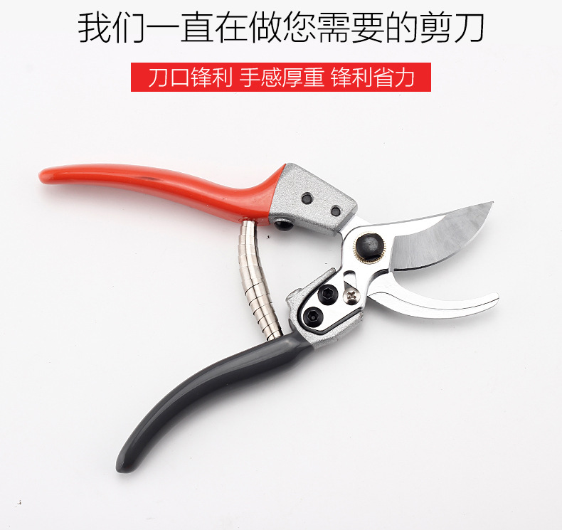 園林剪刀_06.jpg