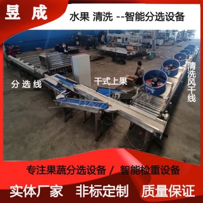 桃子柑橘清洗分選包裝設(shè)備 水果分級設(shè)備 選果分級機 自動選果機