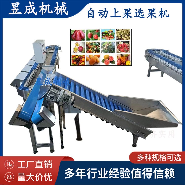 鮮食玉米重量分級輸送包裝 鮮食玉米加工生產(chǎn)線 自動選果機(jī)